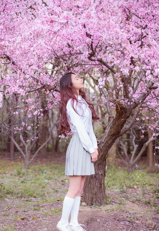 樱花树下花香时尚美女白衬衫温婉清纯让人恋恋不忘
