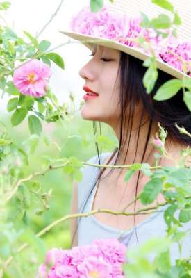 蔷薇花下的清纯少女写真