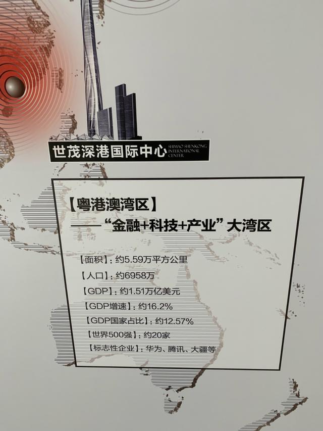 欲打造东部的深圳湾1号 700米高塔地标下的公寓能买吗？